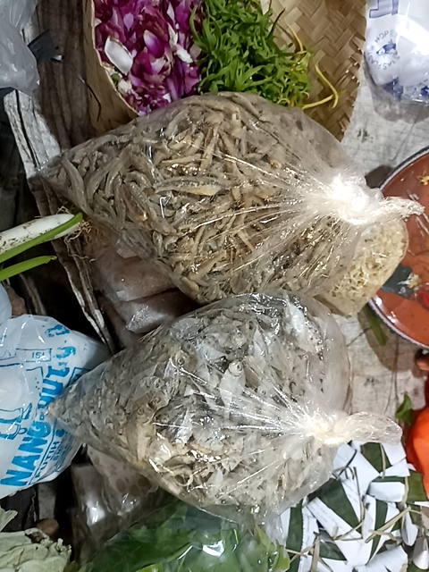 Foto Kegiatan