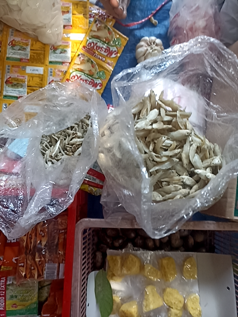 Foto Kegiatan