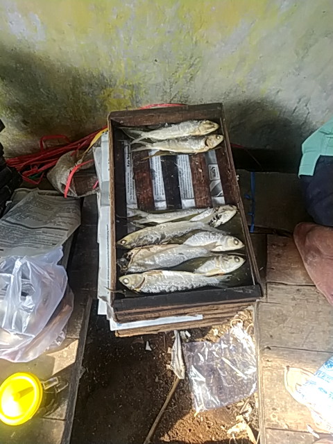 Foto Kegiatan