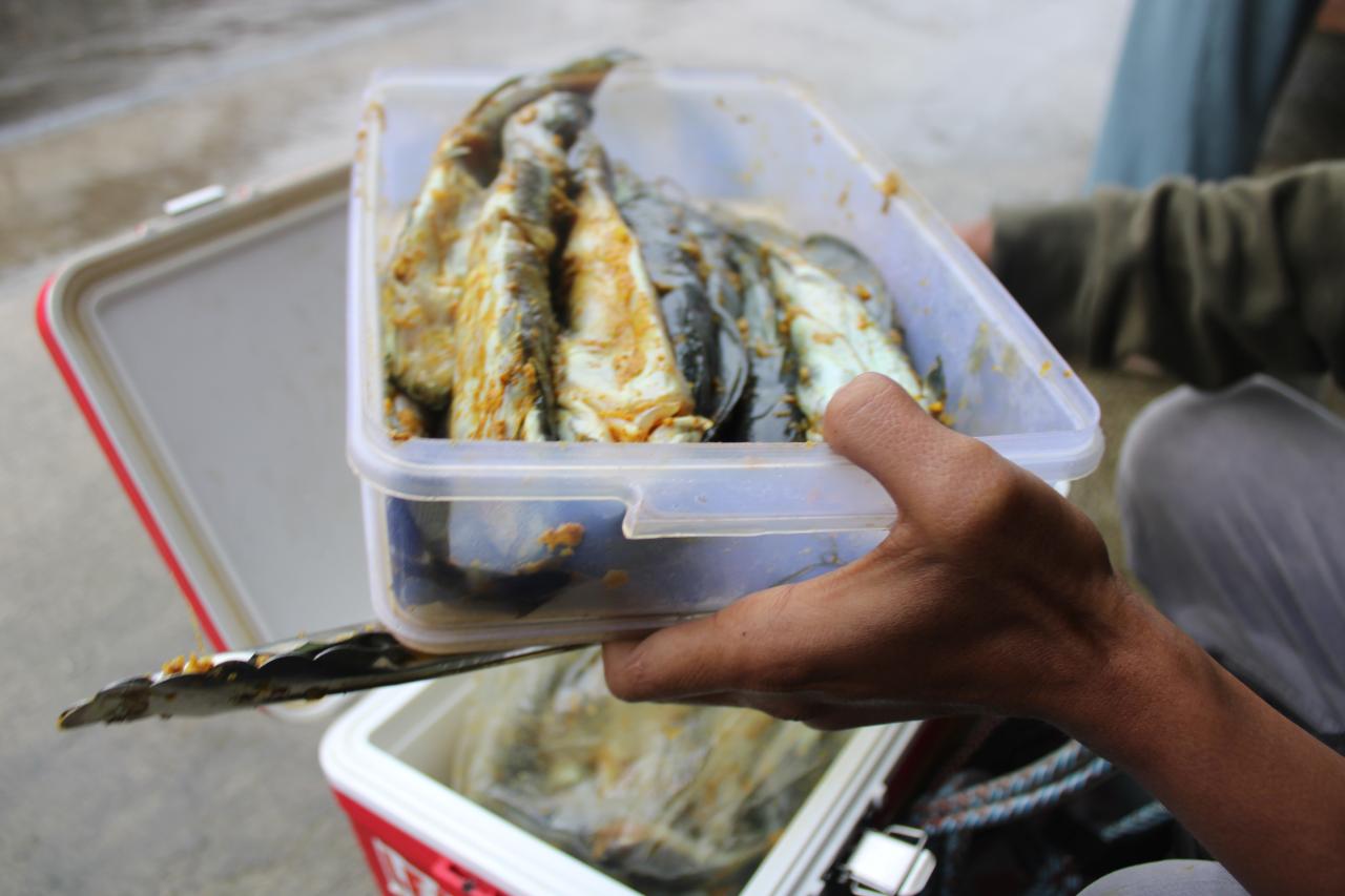 Foto Kegiatan