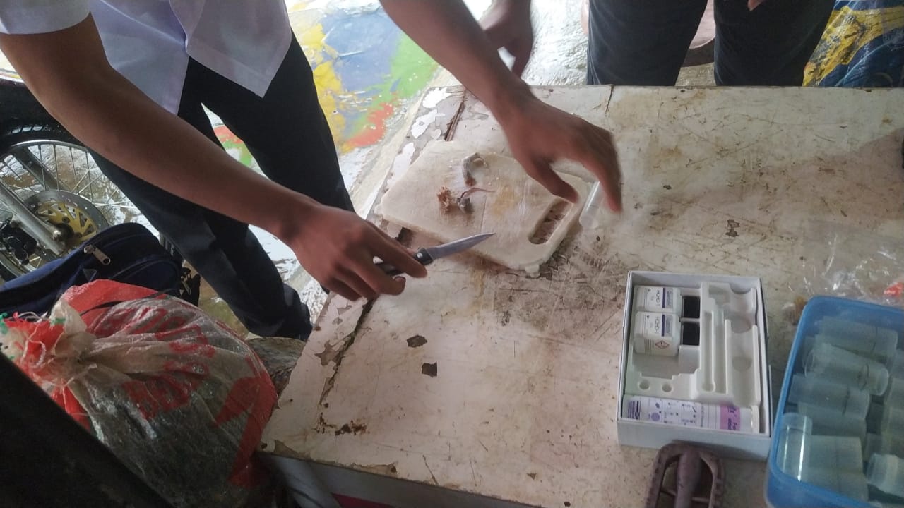Foto Kegiatan