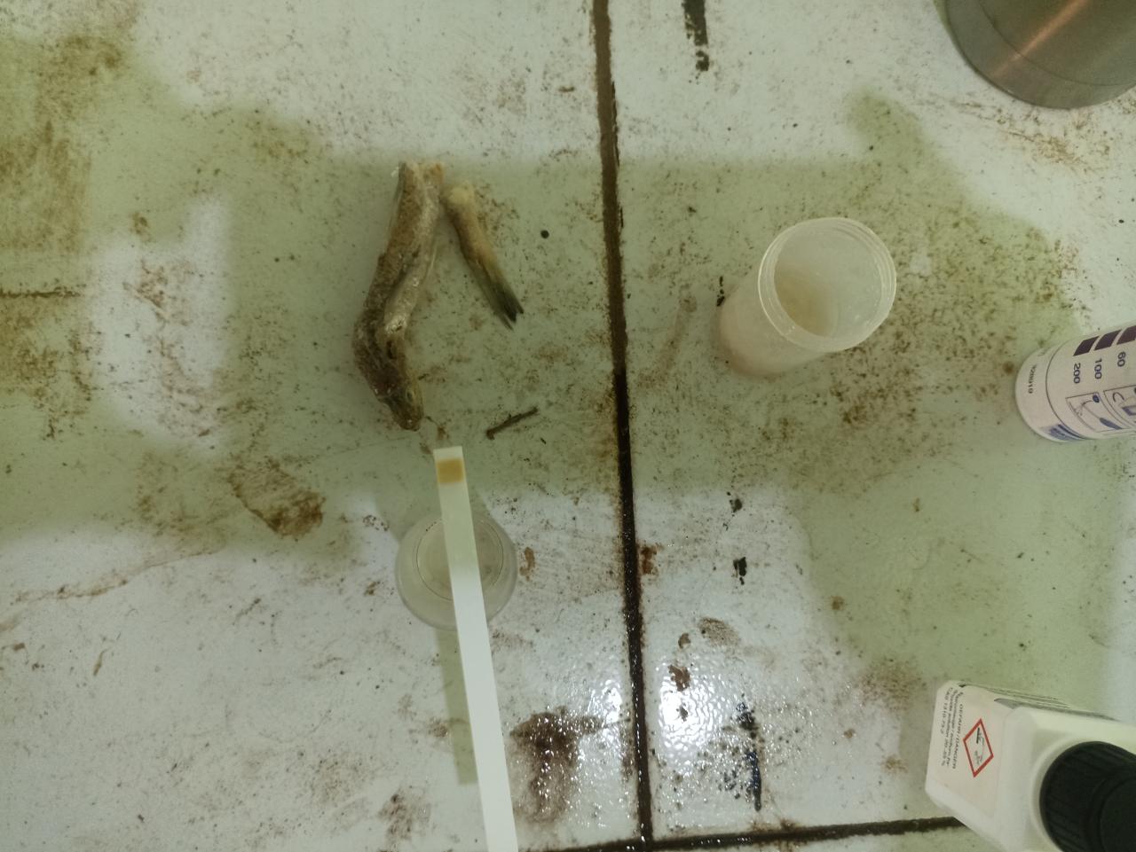 Foto Kegiatan