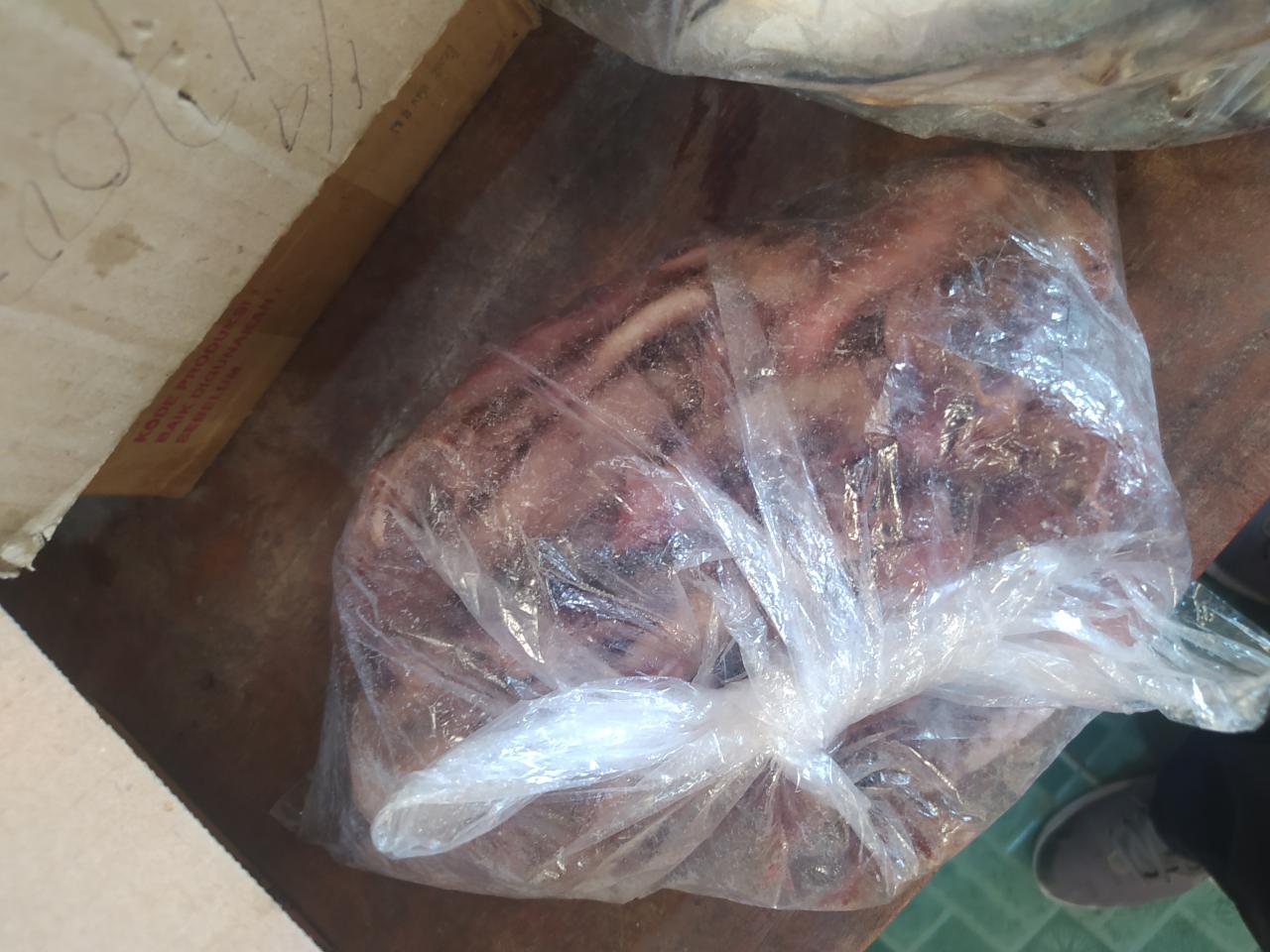 Foto Kegiatan