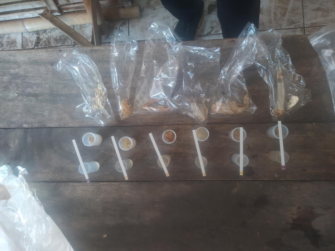 Foto Kegiatan