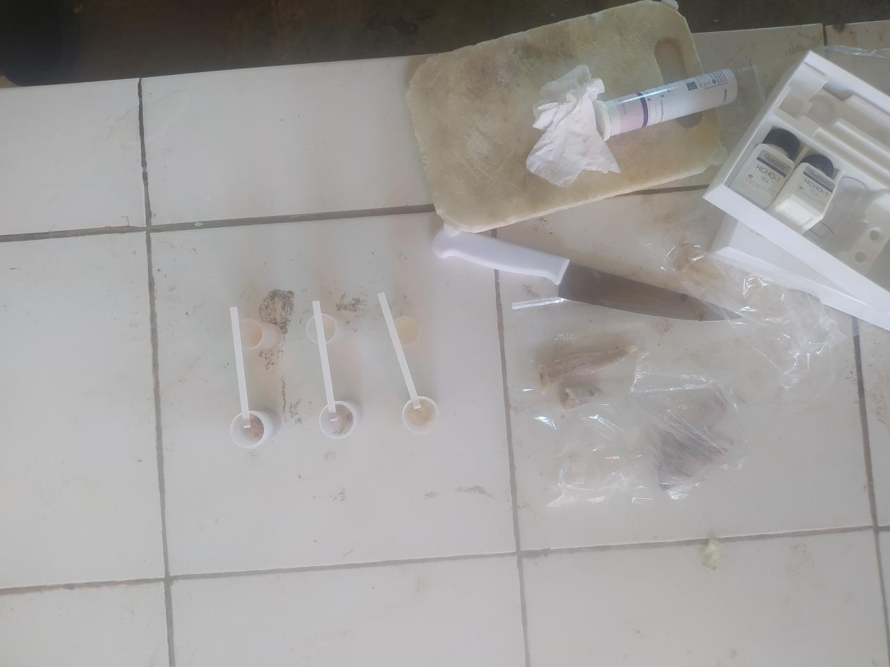 Foto Kegiatan